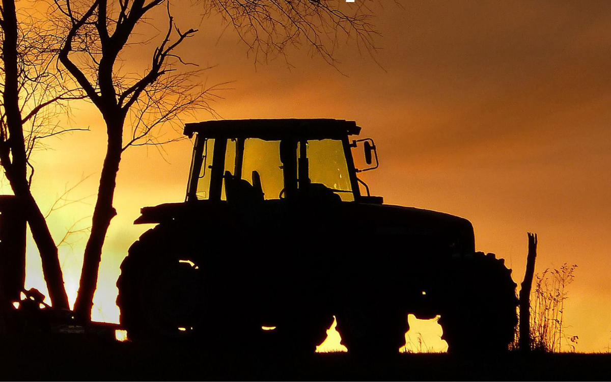 How CRP Programs Work and How to Enroll Your Land in Northern Wisconsin